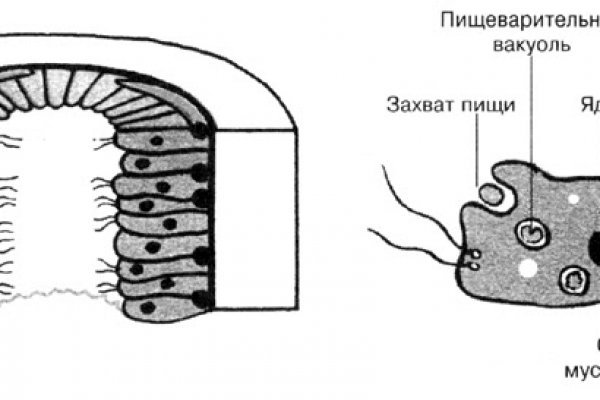 Что такое кракен плейс