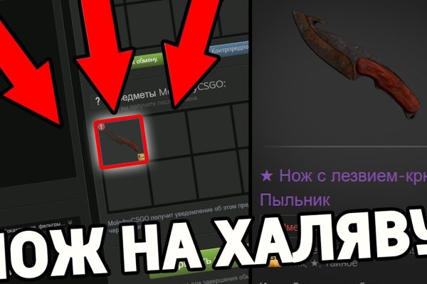 Даркнет заказ