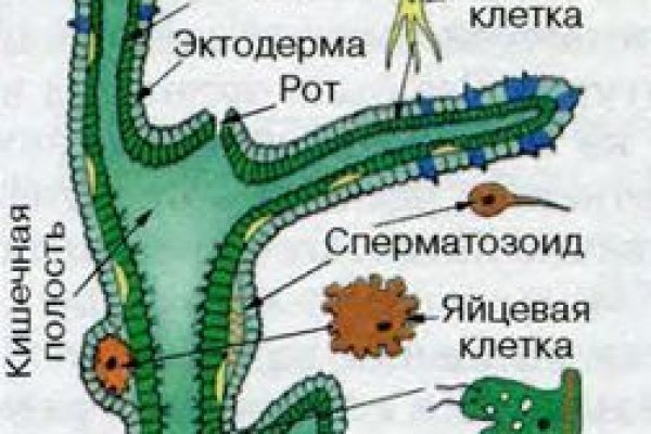 Адрес сайта кракен
