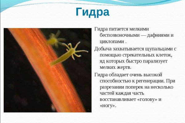 Кракен kr2connect co