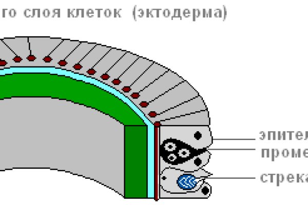 Кракен shop