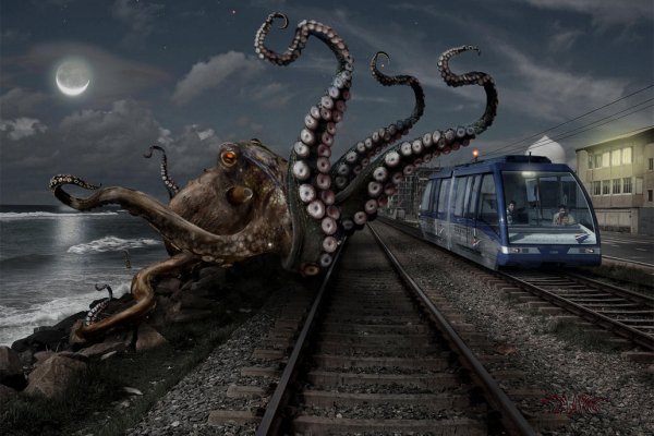 Kraken dark