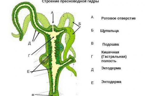 Кракен это современный даркнет маркетплейс