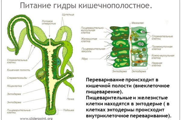 Оригинальный сайт кракен