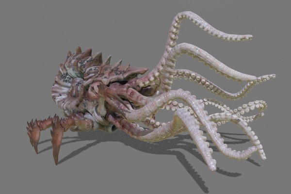 Кракен даркнет store kraken dark link