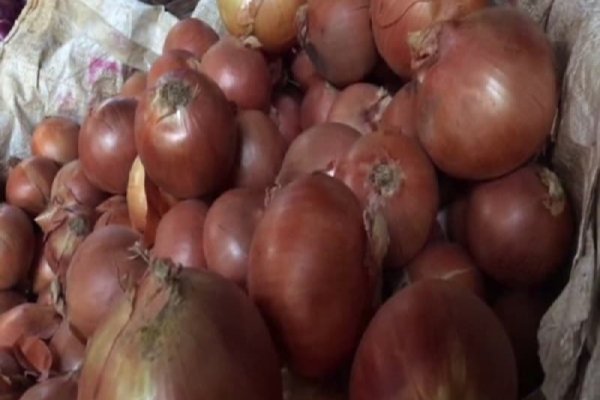 Что продает кракен